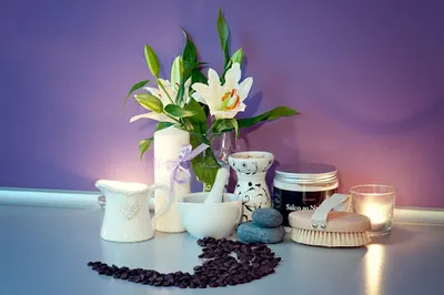 Gardenium Ogrody Urody